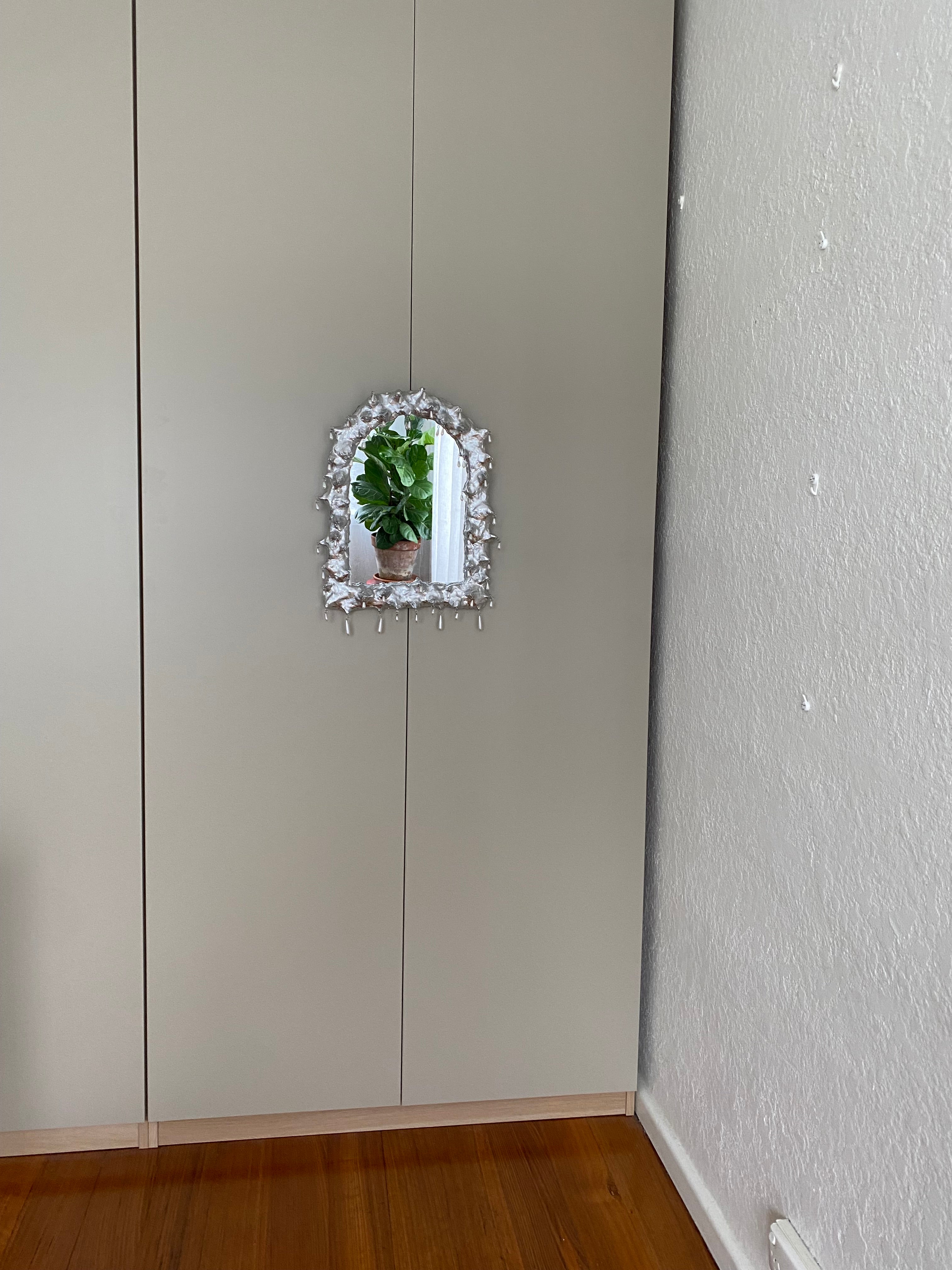 Urchin mirror